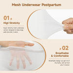 Disposable Mesh Panties 20 Count Mesh Postpartum Underwear Maternity Underwear Postpartum for Women Carer Soft, Breathable, Stretchy Briefs X-Large