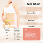3 in 1 Postpartum Belly Support Recovery Wrap – Postpartum Belly Band, After Birth Brace, Slimming Girdles, Body Shaper Waist Shapewear,Post Surgery Pregnancy Belly Support Band(Dusty Plum, M/L)