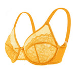 HSIA Minimizer Bras for Women Enchante Full Coverage Underwire Bras Plus Size Lifting Floral Lace Bra for Heavy Breast