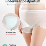 HANSILK Mesh Postpartum Underwear 12 Pack High Waist Reusable Post Bay C-Section Recovery Maternity Panties for Women Washable Mesh Panties (Large)
