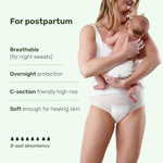 Parasol Recovery Care Postpartum and Period Underwear, Size M/L, 32 Ct, Fast-Dry Core, Friendly High-Waist, Leak-Proof, Disposable, BPA and Fragrance-Free, Up to 8 Pads of Absorbency