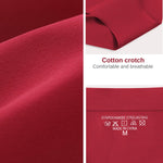 Sazoox Womens Seamless Underwear High Waisted Full Coverage Briefs No Show Soft Breathable Panties 6 Pack