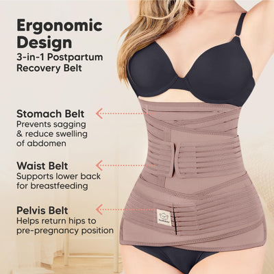 3 in 1 Postpartum Belly Support Recovery Wrap – Postpartum Belly Band, After Birth Brace, Slimming Girdles, Body Shaper Waist Shapewear,Post Surgery Pregnancy Belly Support Band(Dusty Plum, M/L)